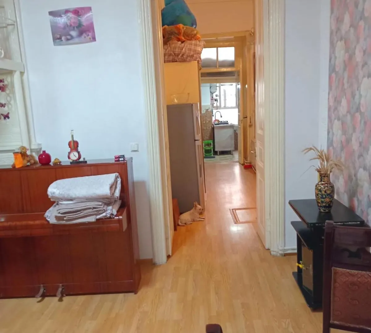 Baku Family Apartment